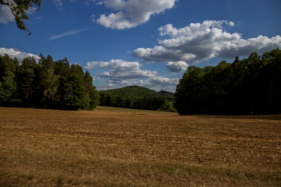 Burgruine Leienfels 002