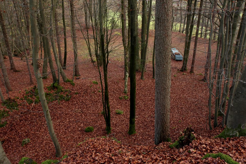 Burgstall Altes Schloss (Affalterthal)18