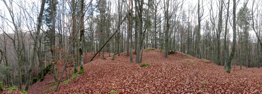 Burgstall Altes Schloss (Affalterthal)15