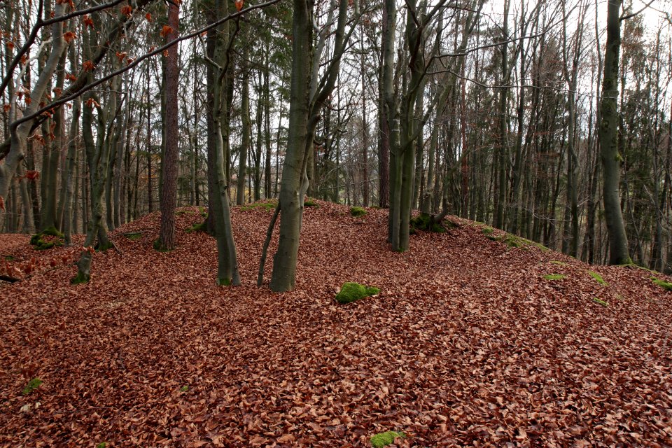 Burgstall Altes Schloss (Affalterthal)08