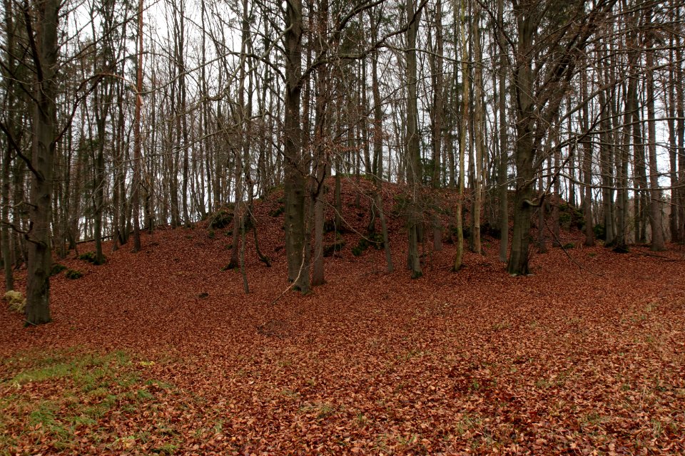 Burgstall Altes Schloss (Affalterthal)03