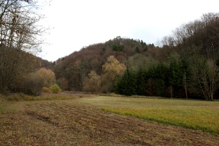 Burgstall Altes Schloss (Affalterthal)10