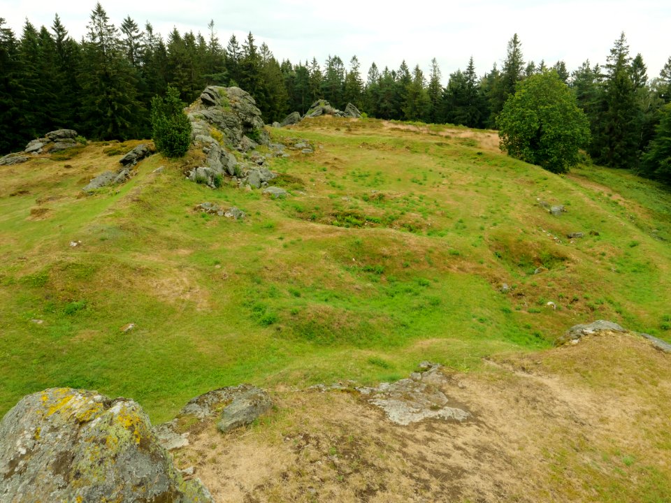 Burgstall.Burg.Wildstein.P1022032