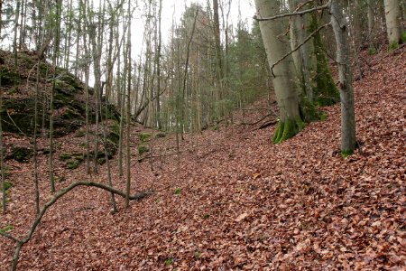 Burgstall Altes Schloss (Oberzaunsbach) 05
