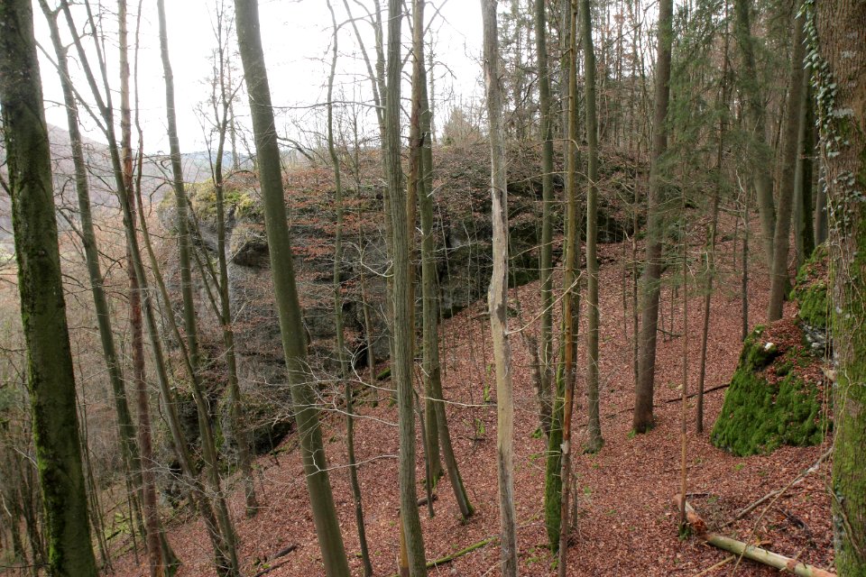 Burgstall Altes Schloss (Oberzaunsbach) 04