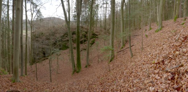 Burgstall Altes Schloss (Oberzaunsbach) 14