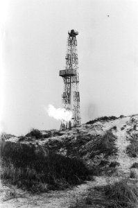 Brandend gas bij vuurtoren Bergen aan Zee, Bestanddeelnr 928-4660