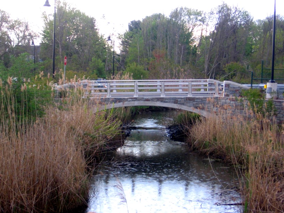 Branford station salt marsh 080