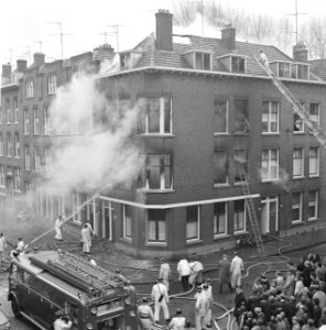 Brand te Rotterdam in Transvaalstraat, Bestanddeelnr 921-1310