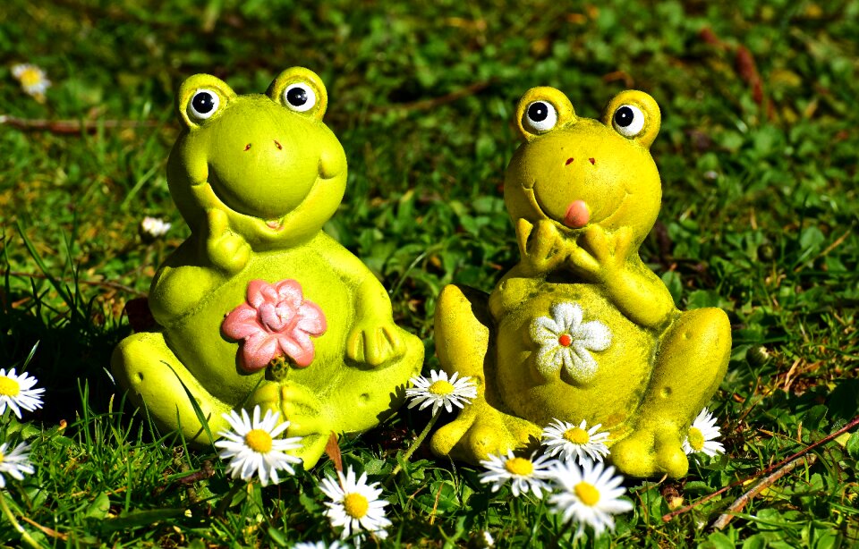 Meadow cute fun