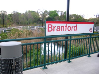 Branford Station salt marsh 078