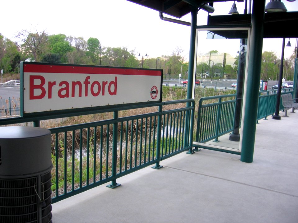 Branford station salt marsh 077