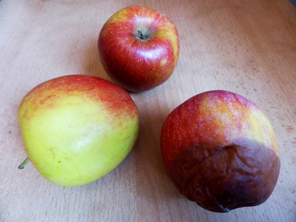 Braeburn-2fine-rotten