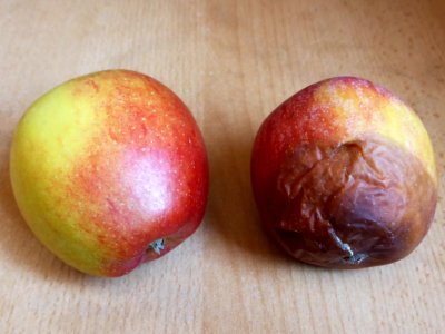 Braeburn-fine-rotten