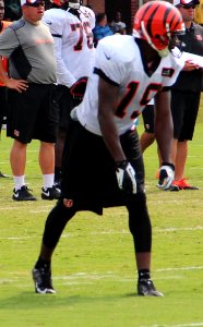 Brandon Tate 2013