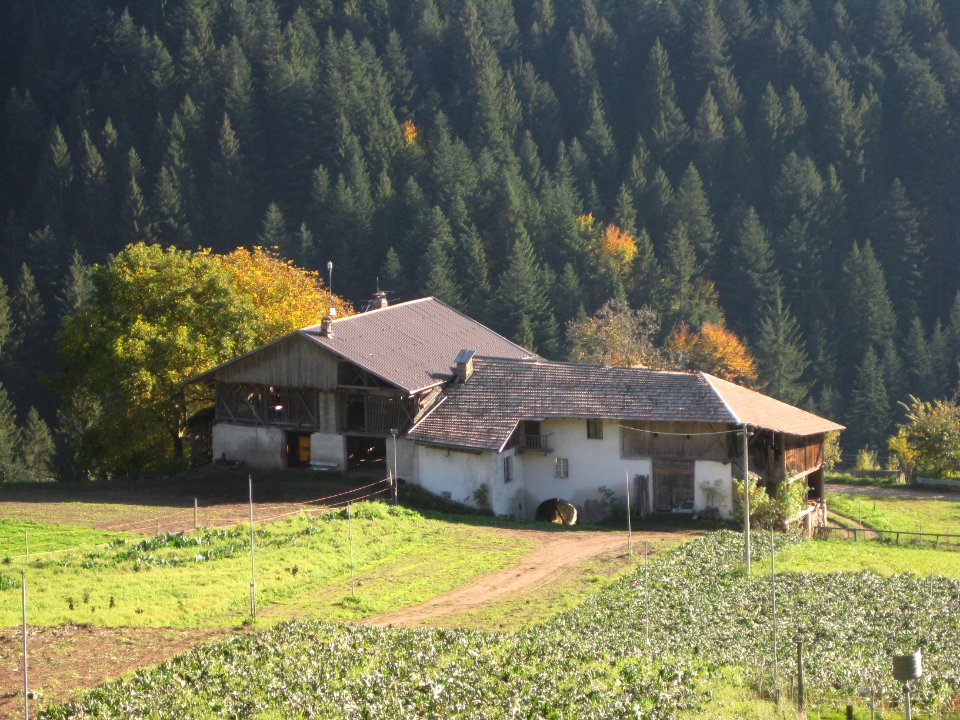 Brössen in Laurein