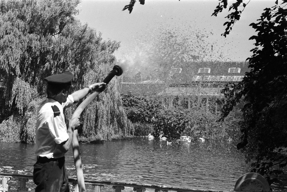 Brandweer vult vijvers bij in Artis, Amsterdam, Bestanddeelnr 928-6801