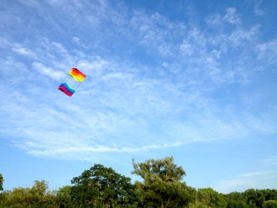 Box kite in flight