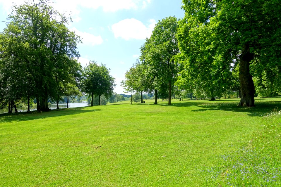 Bowood view of lake field - Wiltshire, England - DSC00452