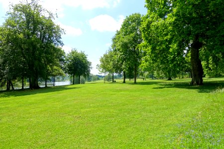 Bowood view of lake field - Wiltshire, England - DSC00452