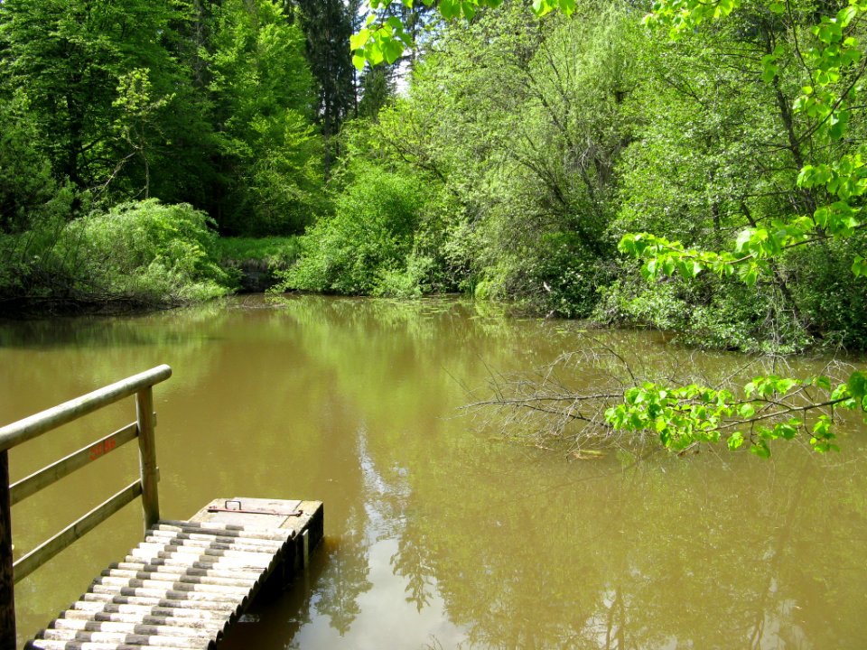 Brühlweier Bebenhausen 001