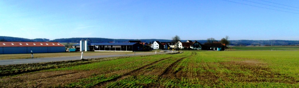 Brünst 2015-03 (2)