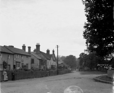 Brampton Brian (1294516)