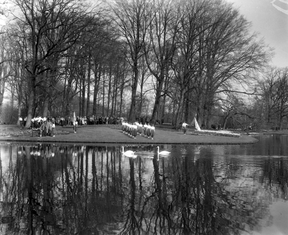 Brabantse dag op de Keukenhof te Lisse, Bestanddeelnr 909-5046