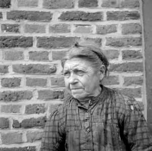 Brabantse weversvrouw, Bestanddeelnr 254-4075