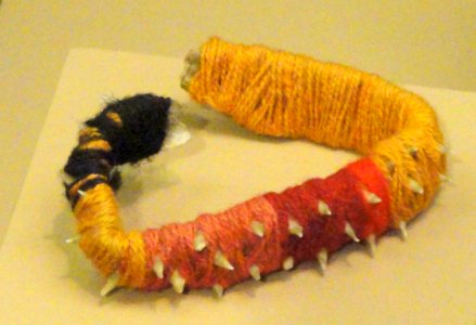 Bracelet, stingray covered with wool, Pilagá people - South American objects in the American Museum of Natural History - DSC06051 photo