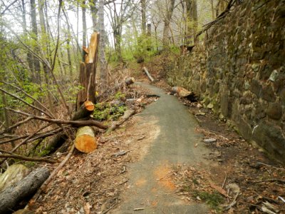 Branch Brook Pk Tiffany Blvd footpath jeh