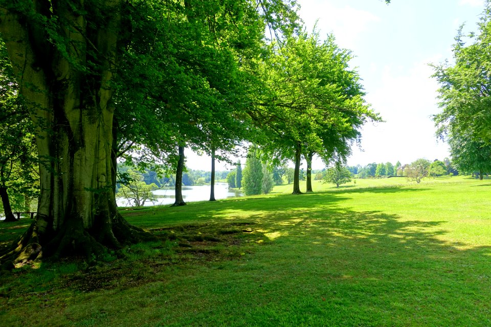 Bowood view of lake field - Wiltshire, England - DSC00464