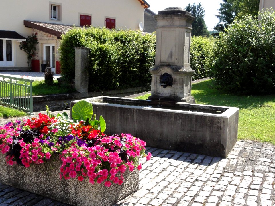 Bréménil (M-et-M) fontaine C