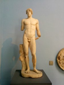 Boxer or Apollo front