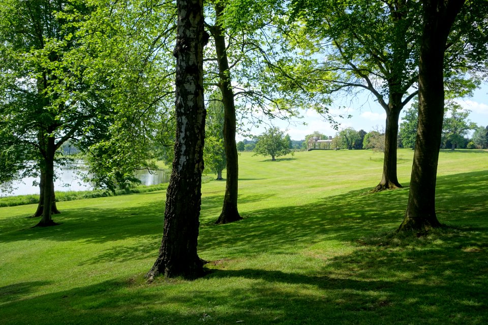 Bowood view of lake field - Wiltshire, England - DSC00480