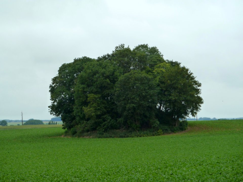 Braives-Tumulus van Avennes (4)