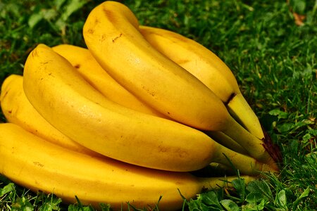 Healthy yellow banana peel photo