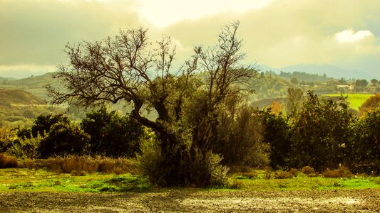 Mediterranean landscape troodos mountain