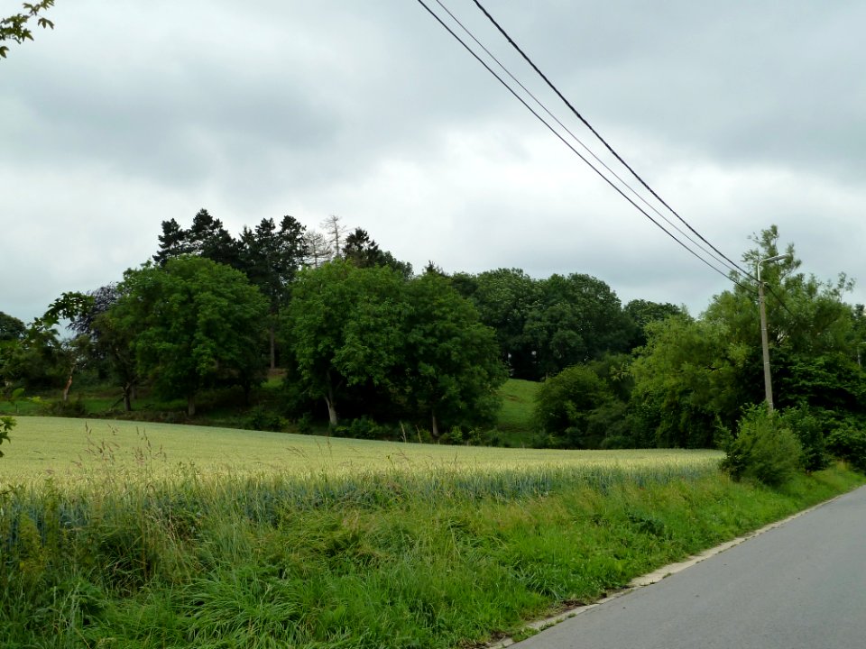 Braives-Butte Saint-Sauveur (1)