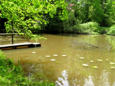 Brühlweier Bebenhausen 002