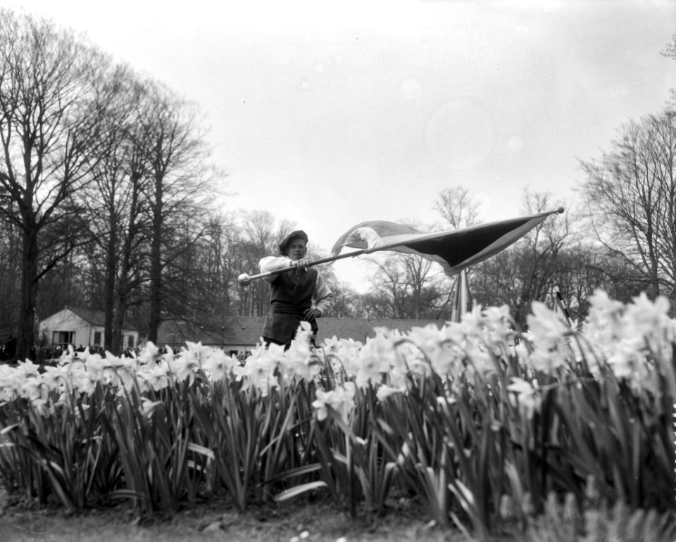 Brabantse dag op de Keukenhof te Lisse, Bestanddeelnr 909-5044