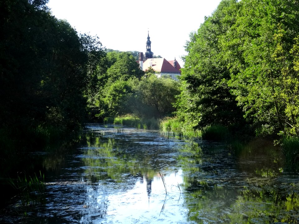 Brda Koronowo 1 7-2016