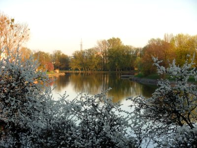 Brda wiosna 2007