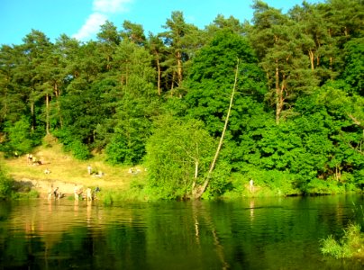 Brda w Opławcu-Piaskach 2005a