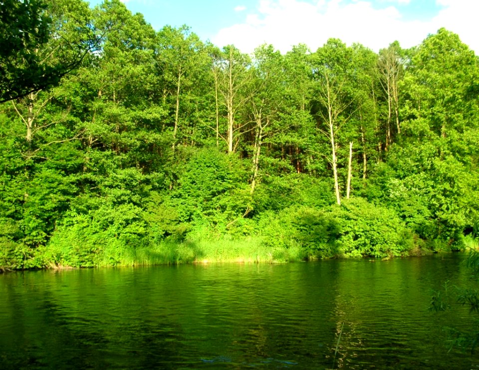 Brda w Opławcu-Smukale Górnej 2005