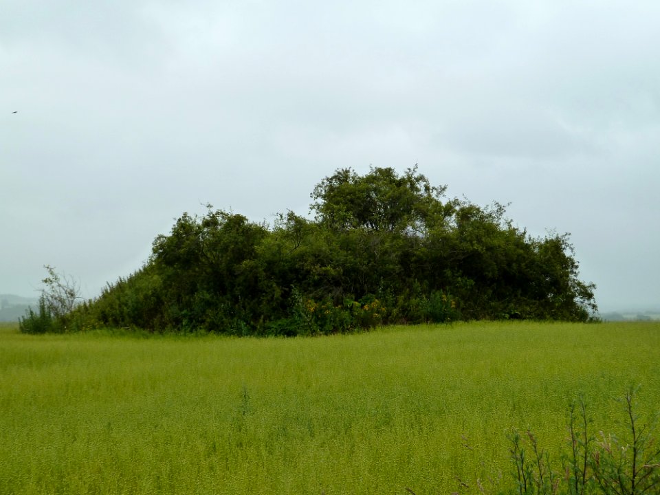 Braives-Tombe van Yve (2)
