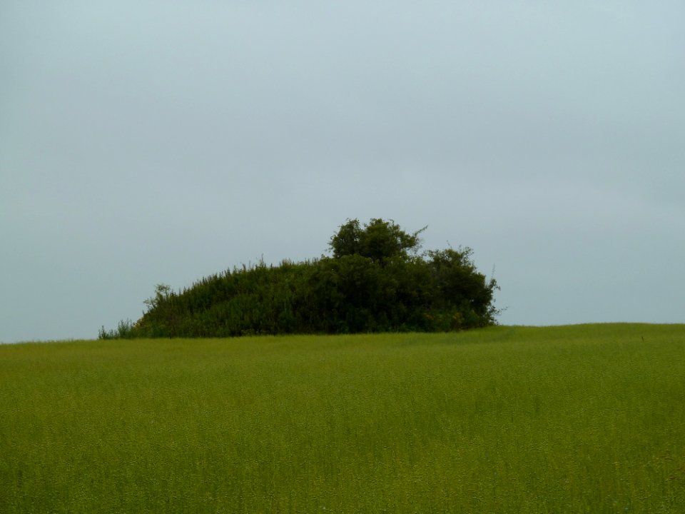 Braives-Tombe van Yve (1)