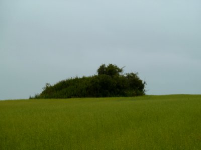 Braives-Tombe van Yve (1)