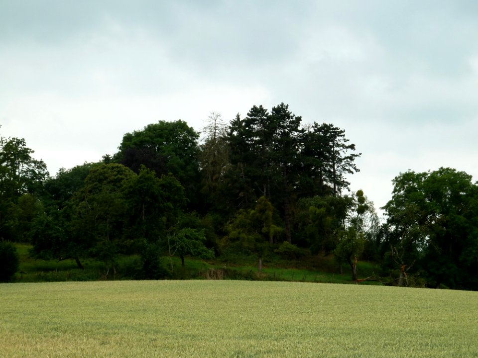 Braives-Butte Saint-Sauveur (2)