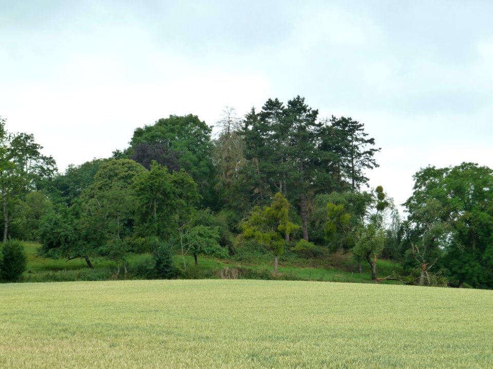 Braives-Butte Saint-Sauveur (3)